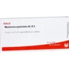 MEMBRANA synovialis GL D 5 Ampullen 10X1 ml
