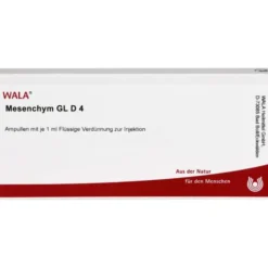 MESENCHYM GL D 4 Ampullen 10X1 ml