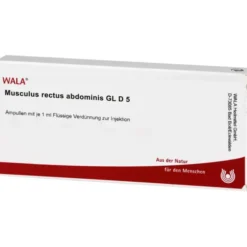 MUSCULUS RECTUS abdominis GL D 5 Ampullen 10X1 ml
