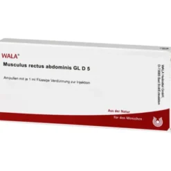 MUSCULUS RECTUS abdominis GL D 5 Ampullen 10X1 ml