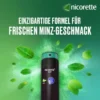 nicorette mint Spray mit Nikotin 1 St