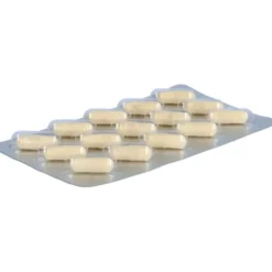 ORTHOMOL Cholin Plus Kapseln 60 Stück