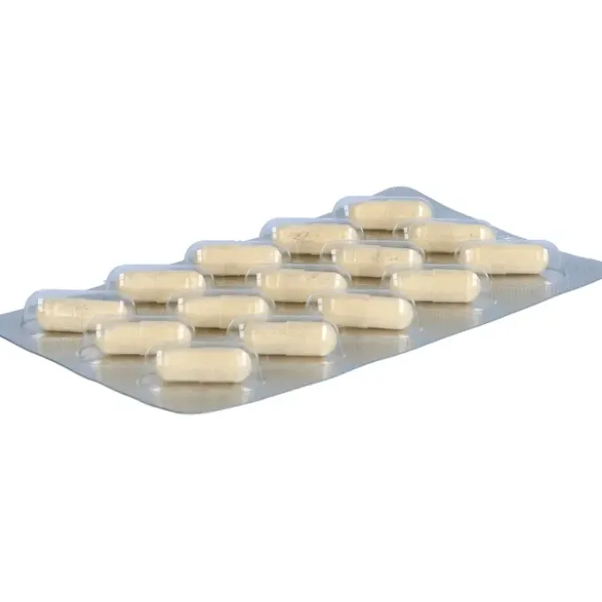 ORTHOMOL Cholin Plus Kapseln 60 Stück