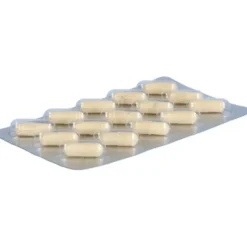 ORTHOMOL Cholin Plus Kapseln 60 Stück