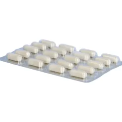 OSTEO CORAL D3 Dr.Wolz Kapseln 60 Stück