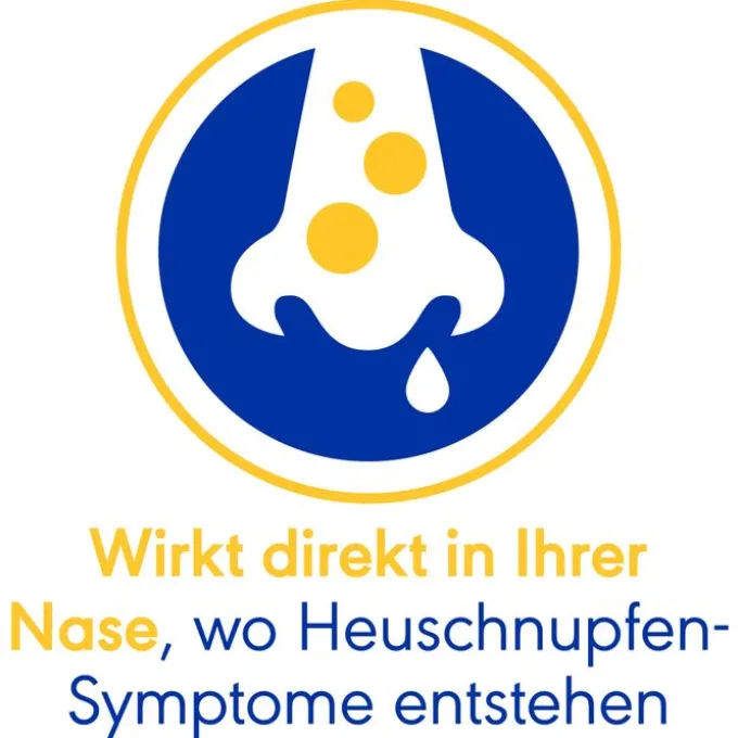 OTRI-ALLERGIE Nasenspray Fluticason 6 ml