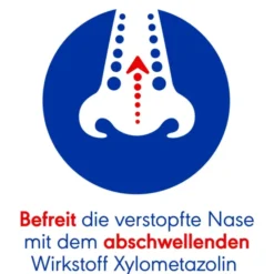 OTRIVEN SinuSpray 0,1% Nasenspray 10 ml