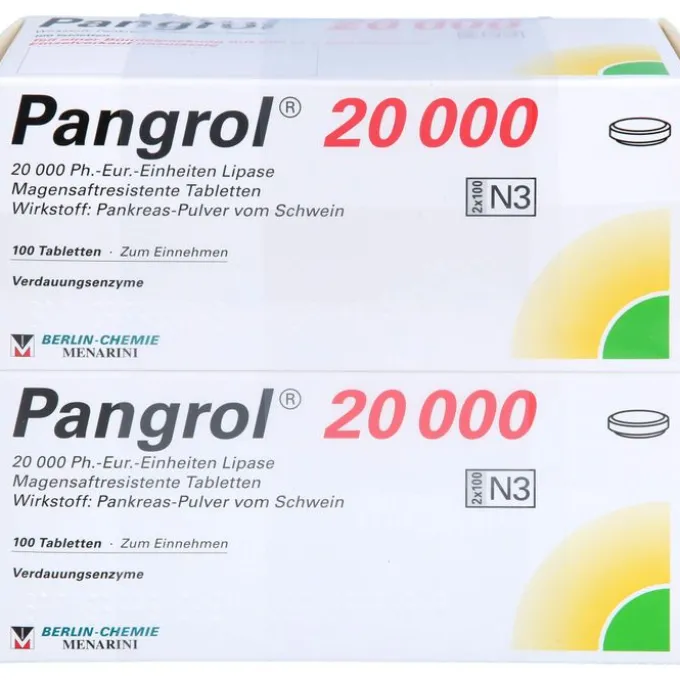 PANGROL 20.000 magensaftresistente Tabletten 200 St