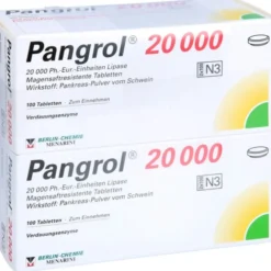 PANGROL 20.000 magensaftresistente Tabletten 200 St