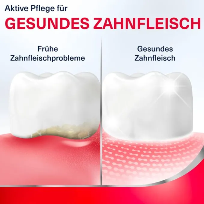PARODONTAX tägl.Zahnfleischpflege Revitalise 300 ml
