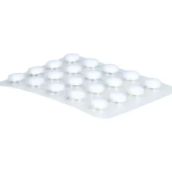 PASCOFEMIN Tabletten 100 St