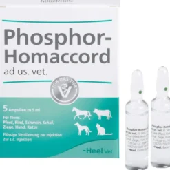PHOSPHOR HOMACCORD ad us.vet.Ampullen 5 St