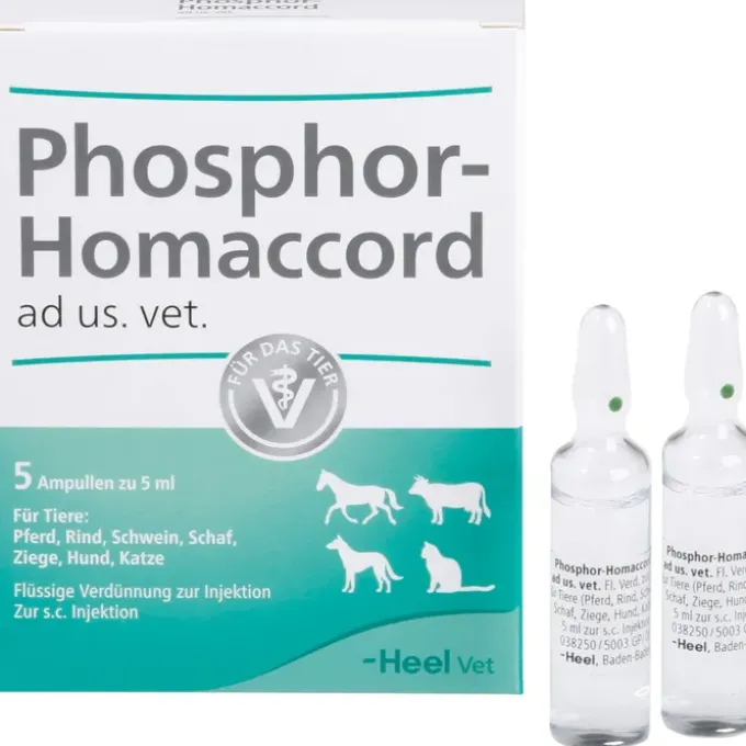PHOSPHOR HOMACCORD ad us.vet.Ampullen 5 St
