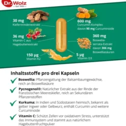 PHYTOFLAM Dr.Wolz Kapseln 60 Stück