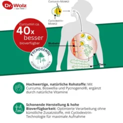 PHYTOFLAM Dr.Wolz Kapseln 60 Stück