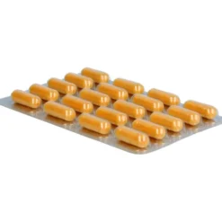 PHYTOFLAM Dr.Wolz Kapseln 60 Stück