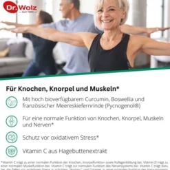 PHYTOFLAM Dr.Wolz Kapseln 60 Stück