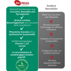 PHYTOFLAM Dr.Wolz Kapseln 60 Stück