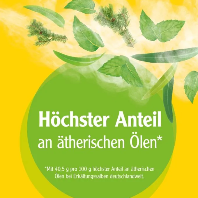 PINIMENTHOL Erkältungssalbe Eucal./Kiefern./Menth. 20 g