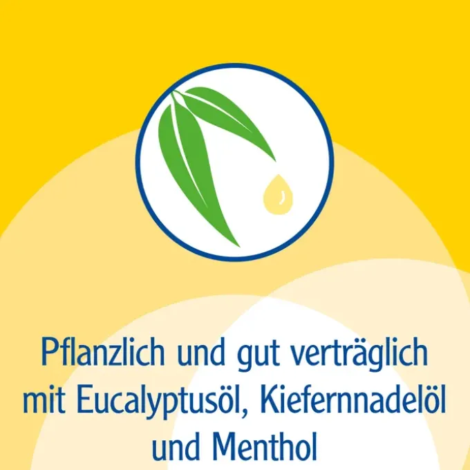 PINIMENTHOL Erkältungssalbe Eucal./Kiefern./Menth. 100 g