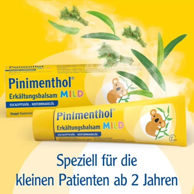 PINIMENTHOL Erkältungssalbe Eucal./Kiefern./Menth. 100 g