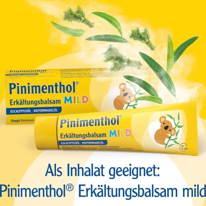 PINIMENTHOL Inhalator 1 St