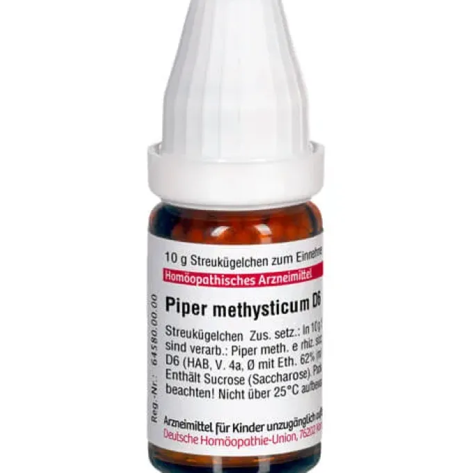 PIPER METHYSTICUM D 6 Globuli 10 g
