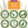 PLANTANA Aloe Vera Pflege Duschbad m.Bio-AloeVera 500 ml