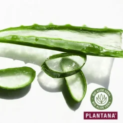 PLANTANA Aloe Vera Pflege Duschbad m.Bio-AloeVera 500 ml