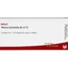 PLEXUS BRACHIALIS GL D 15 Ampullen 10X1 ml