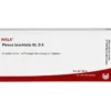 PLEXUS BRACHIALIS GL D 8 Ampullen 10X1 ml