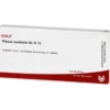 PLEXUS LUMBALIS GL D 15 Ampullen 10X1 ml