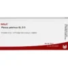 PLEXUS PELVINUS GL D 5 Ampullen 10X1 ml