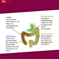 PROBIOCOLON Gewichtsreduktion Dr.Wolz Pulver 315 g