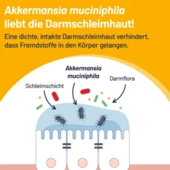 PROBIO-Cult AKK1 Akkermansia Syxyl Tabletten 30 Stück