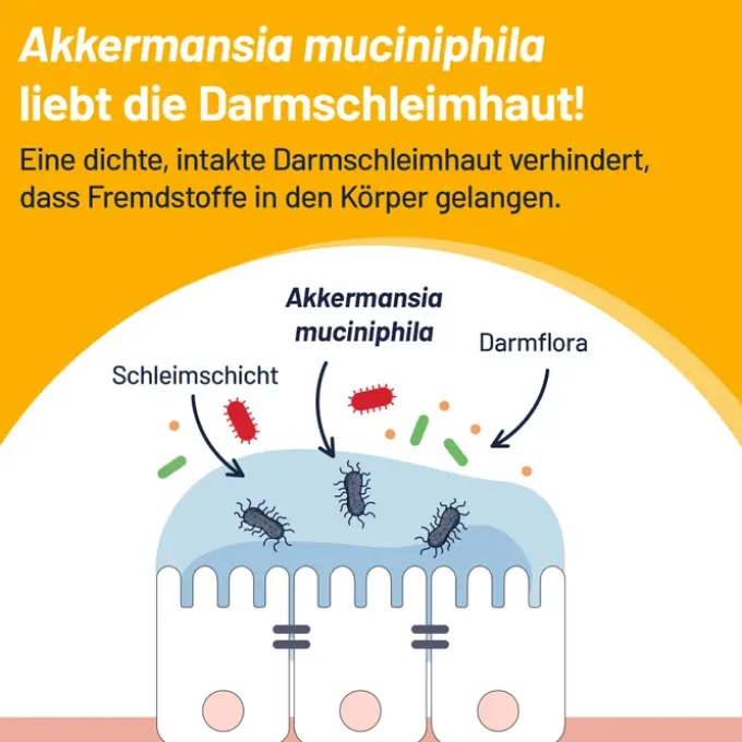 PROBIO-Cult AKK1 Akkermansia Syxyl Tabletten 30 Stück