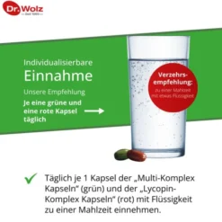 PROSTATA PRO Dr.Wolz Kapseln 40 Stück