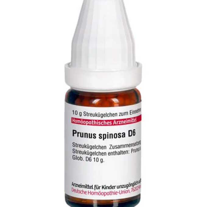 PRUNUS SPINOSA D 6 Globuli 10 g
