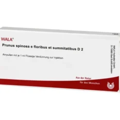 PRUNUS SPINOSA E floribus et summitatibus D 2 Amp. 10X1 ml