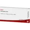PULMO/MERCURIUS Ampullen 10X1 ml
