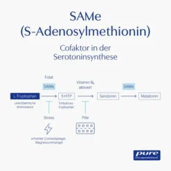 PURE ENCAPSULATIONS SAMe S-Adenosyl-Methionin Kps. 60 Stück