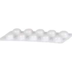 REGACAN Syxyl Tabletten 90 Stück