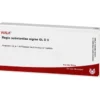 REGIO substantiae nigrae GL D 5 Ampullen 10X1 ml