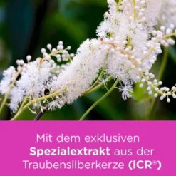 REMIFEMIN mono Tabletten 90 St