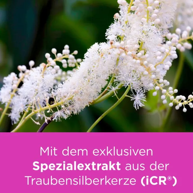 REMIFEMIN mono Tabletten 90 St