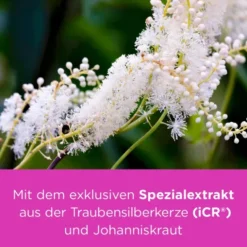 REMIFEMIN plus Johanniskraut Filmtabletten 180 St