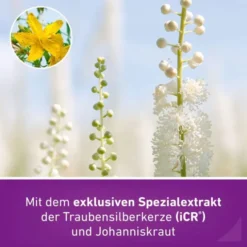 REMIFEMIN plus Johanniskraut Filmtabletten 60 St