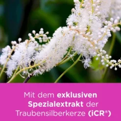 REMIFEMIN Tabletten 200 St