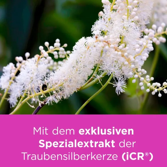 REMIFEMIN Tabletten 200 St