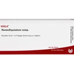RENES/EQUISETUM comp.Ampullen 10X1 ml